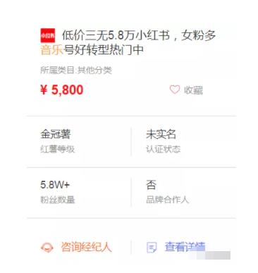 快速变现小红书副业赚钱项目，月增收入5000+插图1