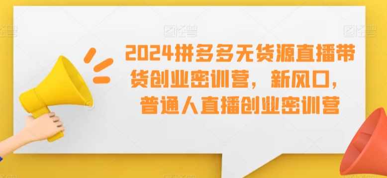 2024拼多多无货源直播带货创业密训营，新风口，普通人直播创业密训营