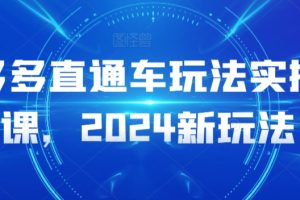 多多直通车玩法实操课，2024新玩法