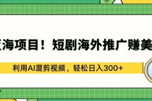 蓝海项目!短剧海外推广赚美金，利用AI混剪视频，轻松日入300+【揭秘】