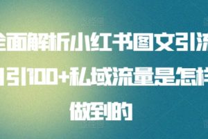 全面解析小红书图文引流日引100+私域流量是怎样做到的【揭秘】