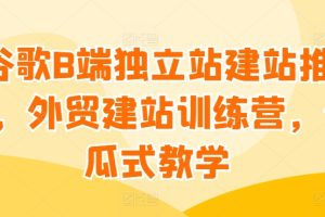 谷歌B端独立站建站推广，外贸建站训练营，傻瓜式教学