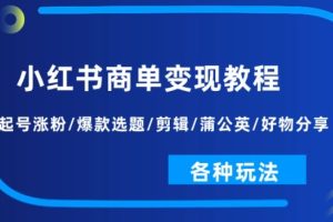 小红书商单变现教程：起号涨粉/爆款选题/剪辑/蒲公英/好物分享/各种玩法