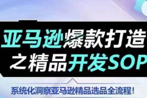 【训练营】亚马逊爆款打造之精品开发SOP，系统化洞察亚马逊精品选品全流程