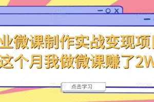 商业微课制作实战变现项目，这个月我做微课赚了2W+