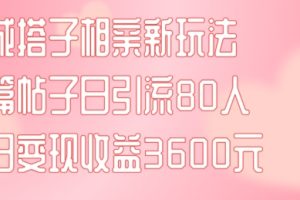 同城搭子相亲新玩法一篇帖子引流80人当日变现3600元(项目教程+实操教程)【揭秘】